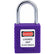 Compact Anti-Corrosion Safety Lockout Padlock 1021